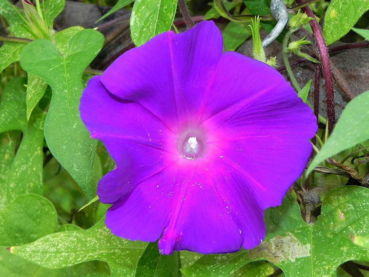 9-DSCN5724