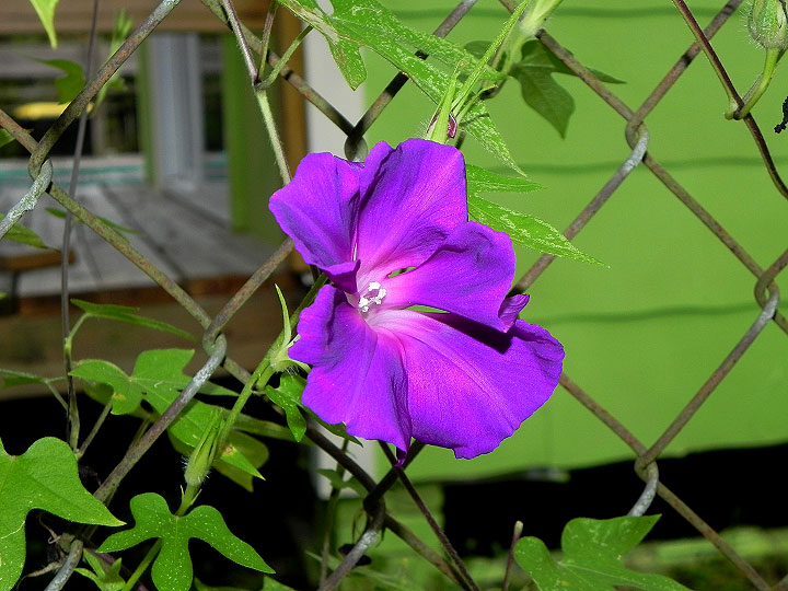 9-DSCN6494