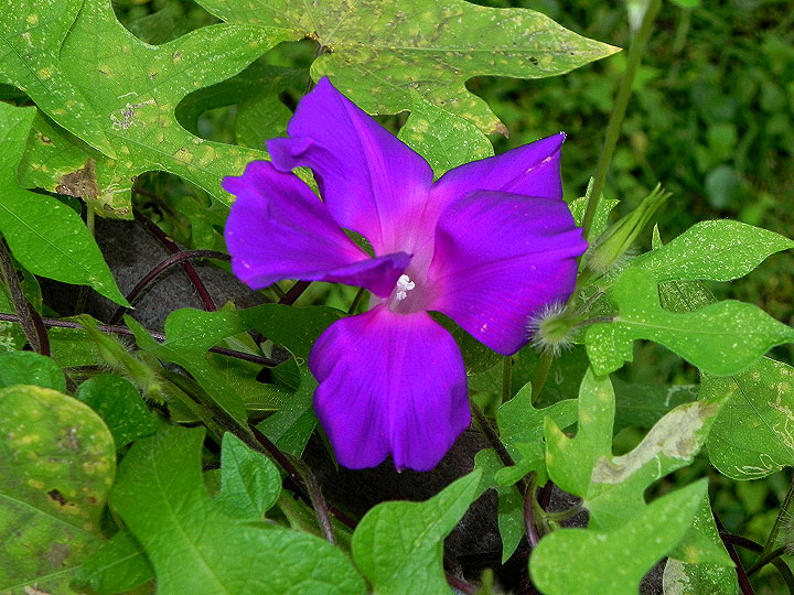 9-DSCN6495