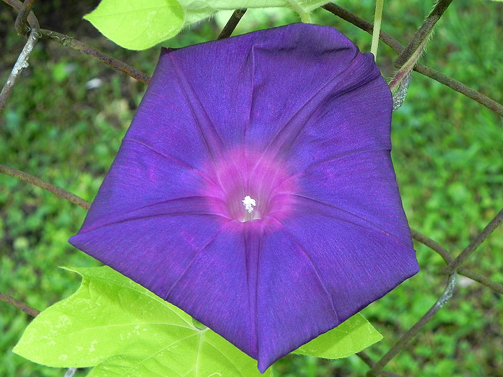 9-DSCN7185