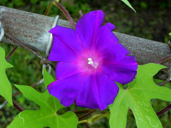 9-DSCN7297
