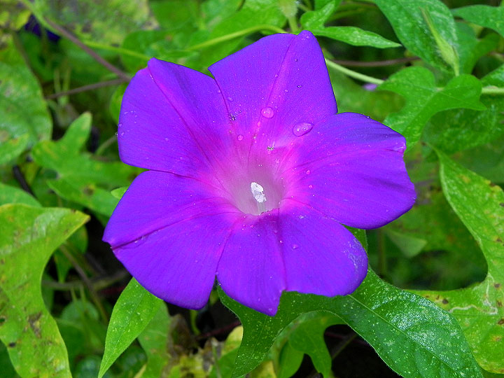 9-DSCN7428