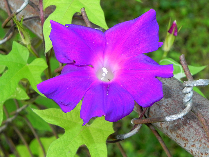 9-DSCN7573