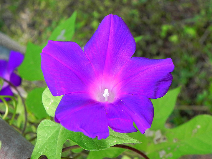 9-DSCN7574
