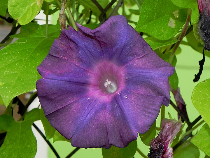 9-DSCN7599