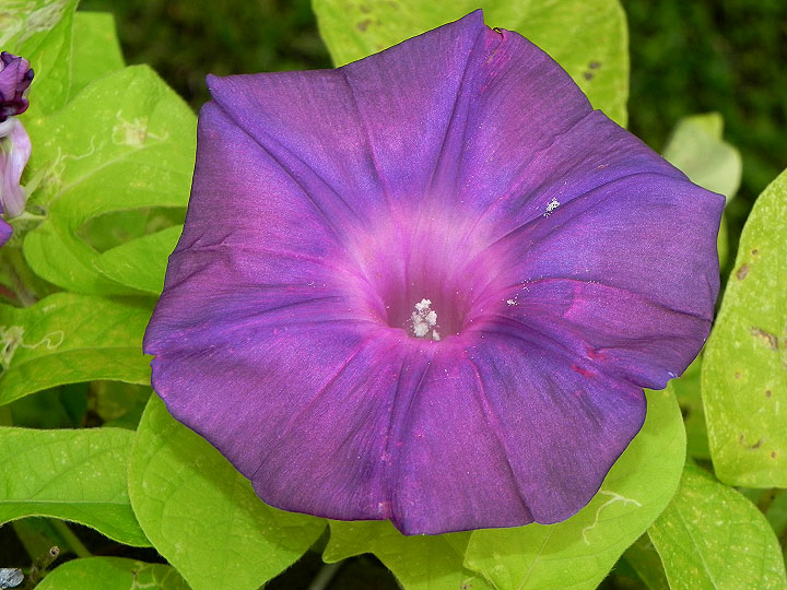 9-DSCN7601