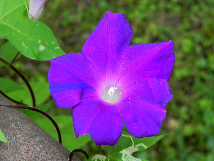 9-DSCN7727