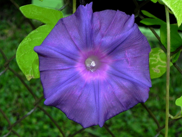 9-DSCN7807
