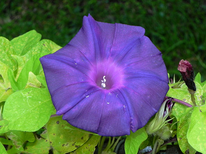 9-DSCN7808