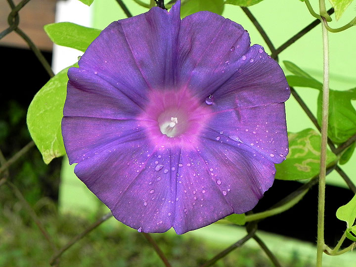 9-DSCN7955