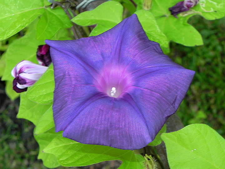9-DSCN8059