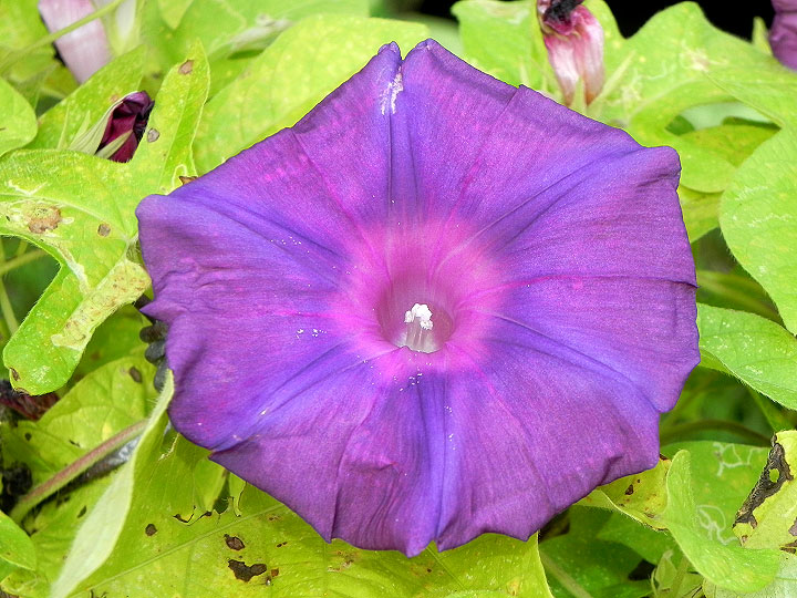 9-DSCN8210