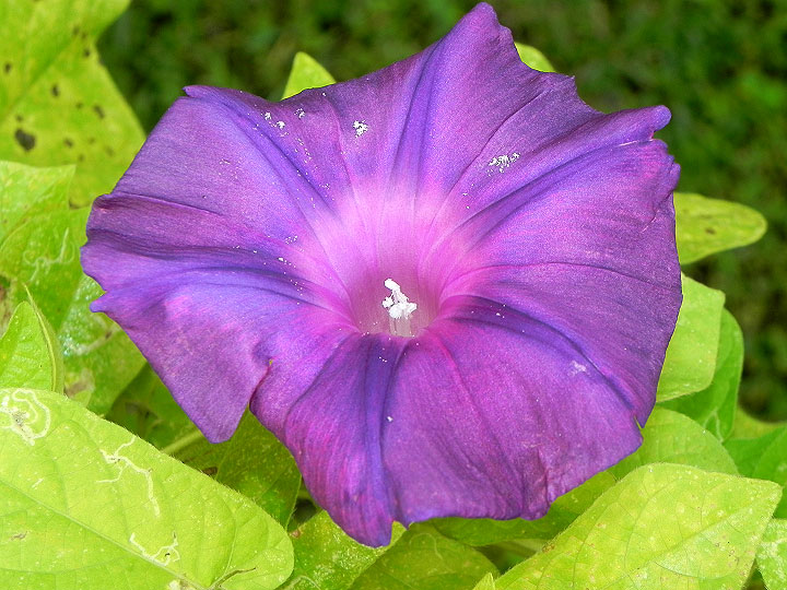 9-DSCN8211