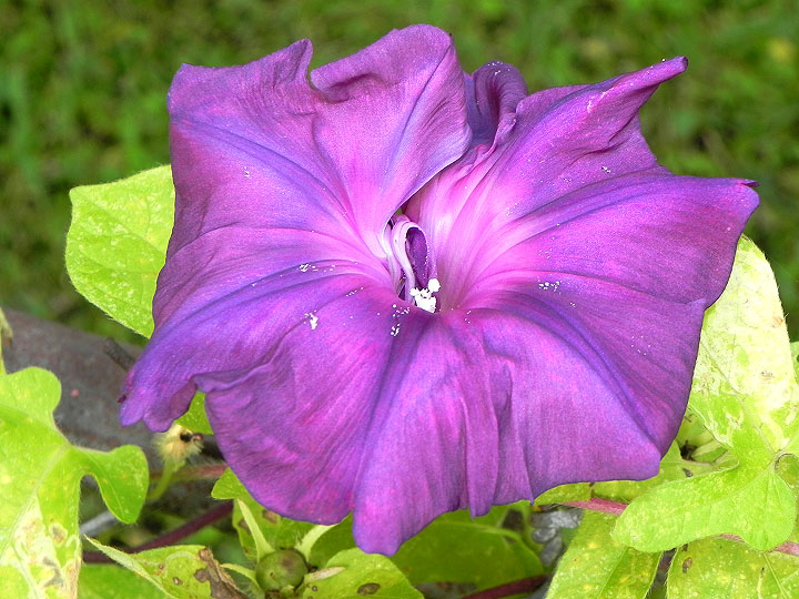 9-DSCN8212