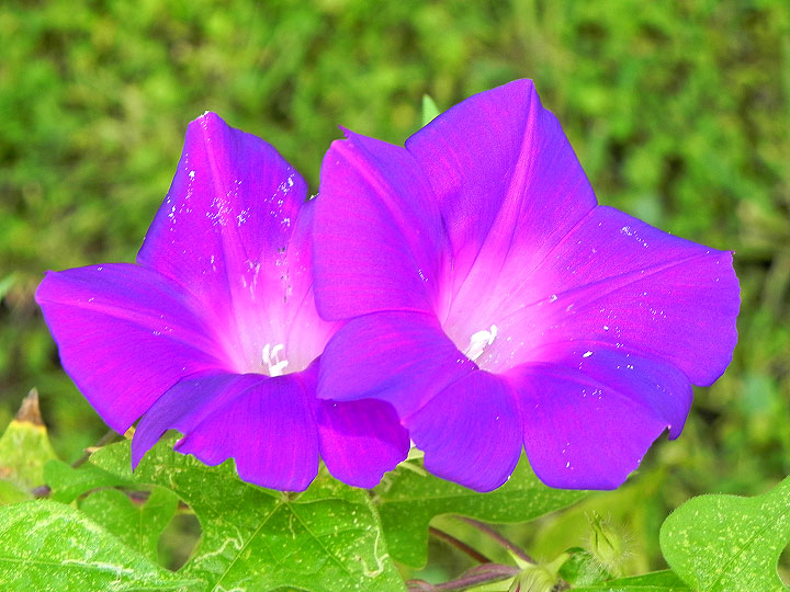 9-DSCN8215