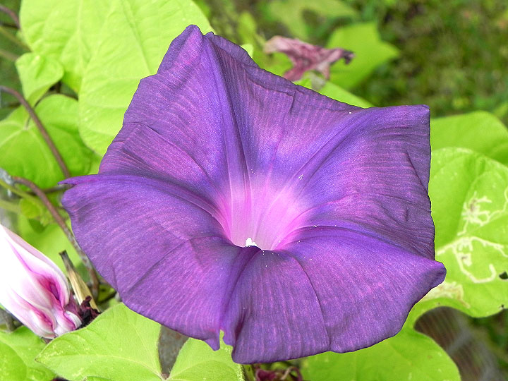 9-DSCN8257