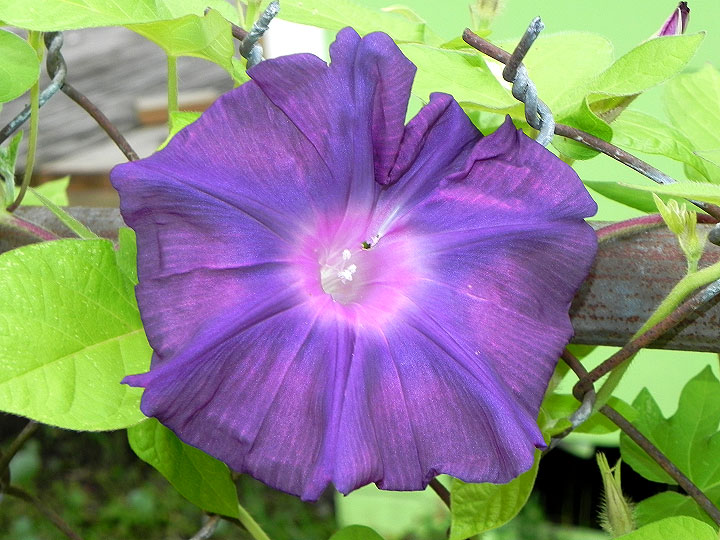 9-DSCN8258