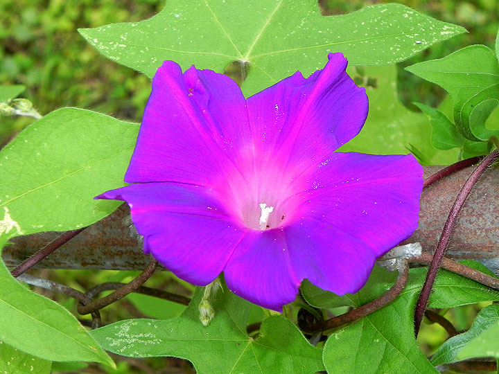 9-DSCN8260