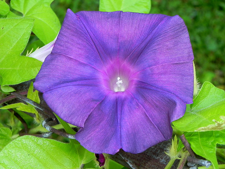 9-DSCN8451