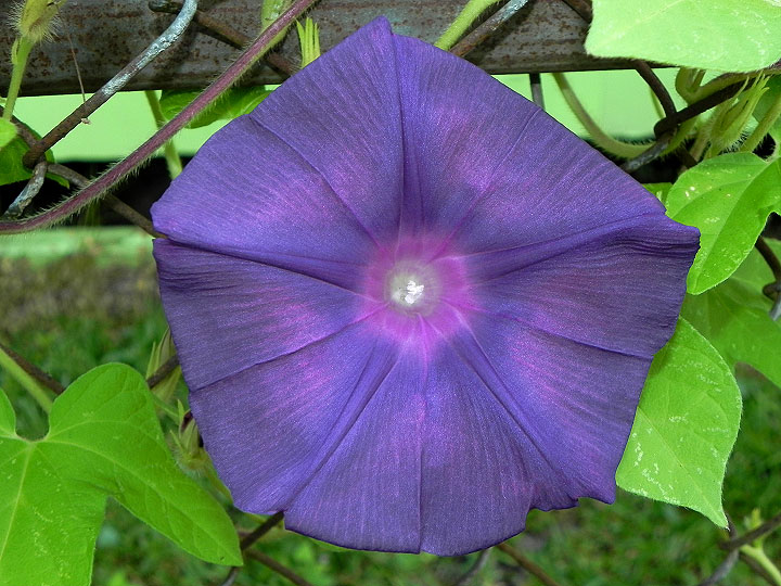 9-DSCN8883