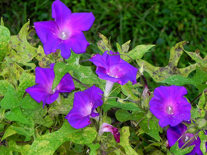 9-DSCN8955