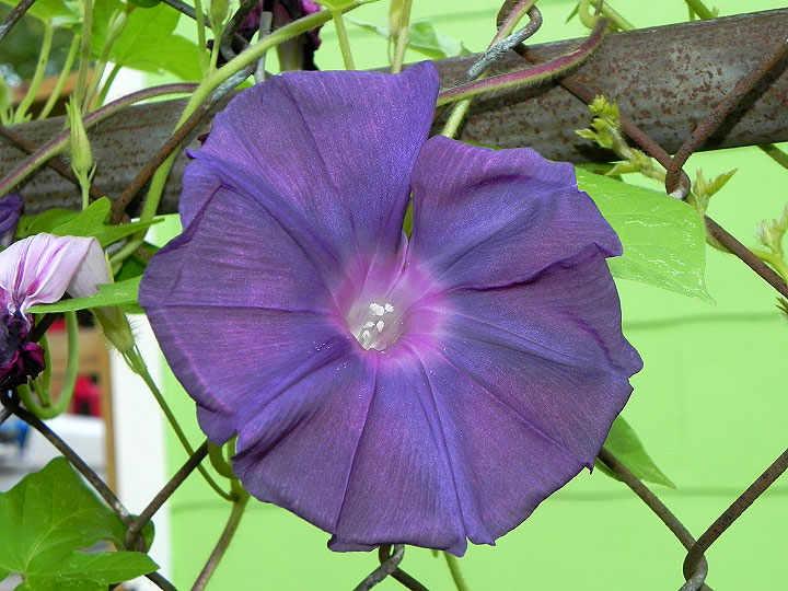 9-DSCN9073