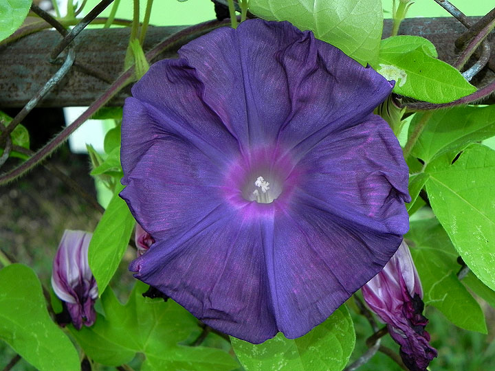 9-DSCN9274