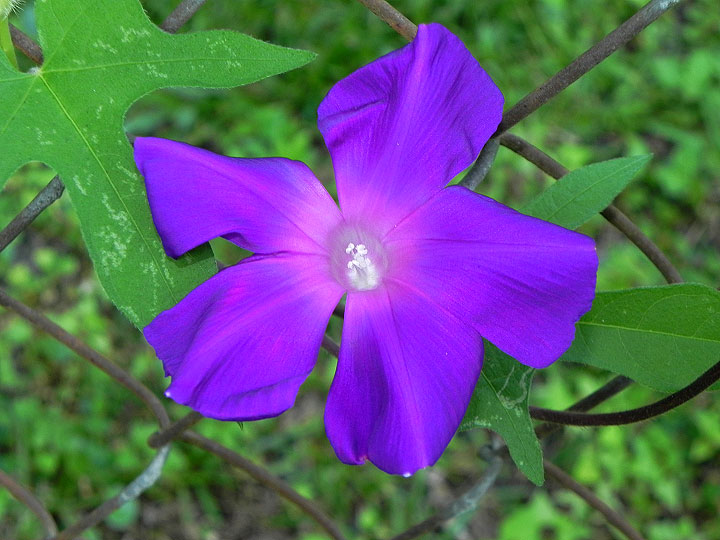 9-DSCN9279