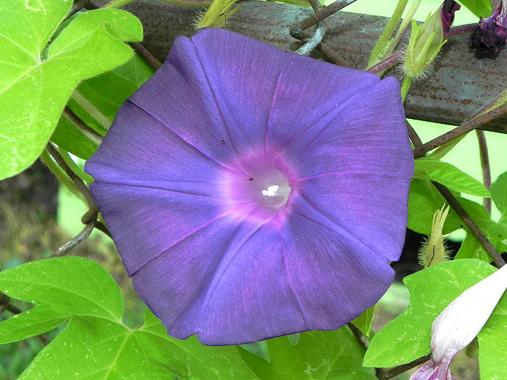 9-DSCN9744