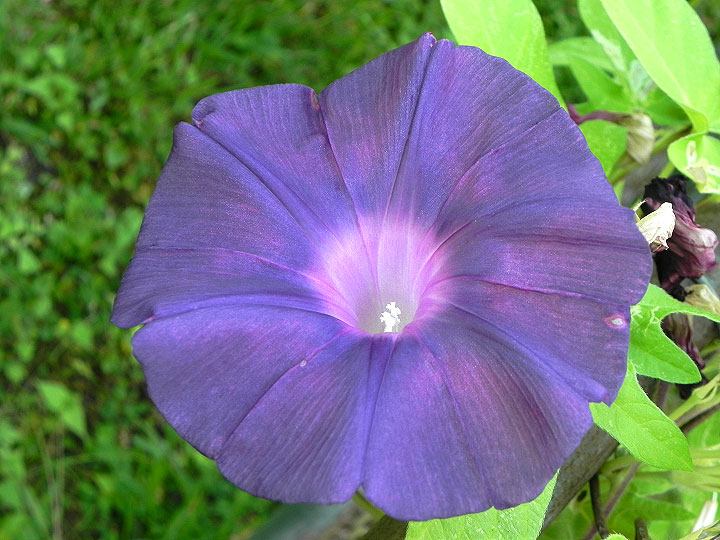 9-DSCN9745