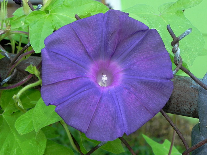 9-DSCN9985