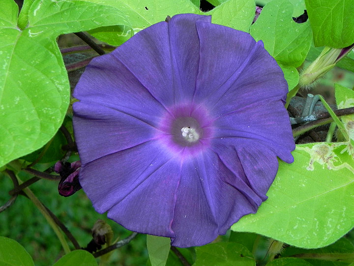 9-DSCN9986