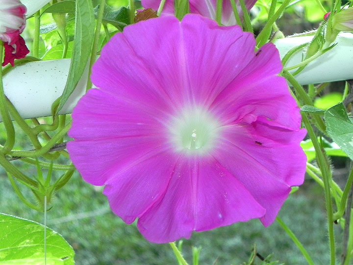 DSCN0061