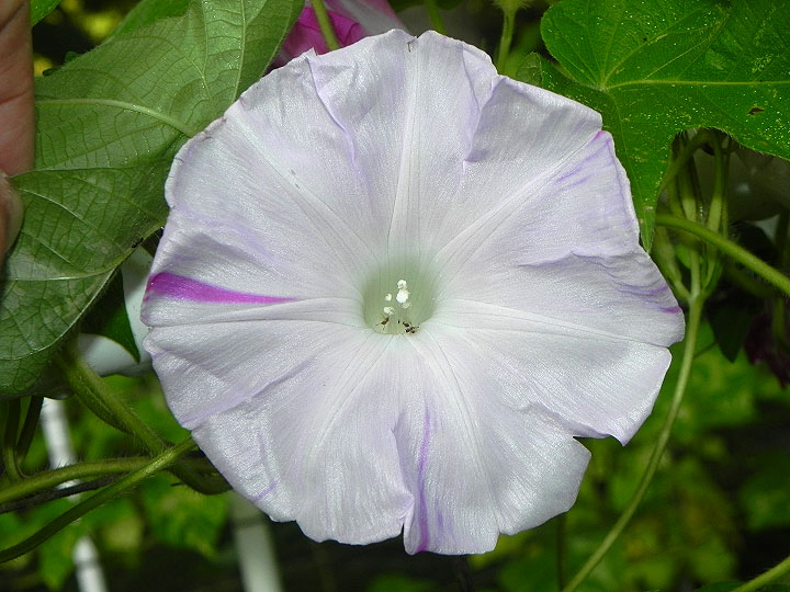 DSCN0239