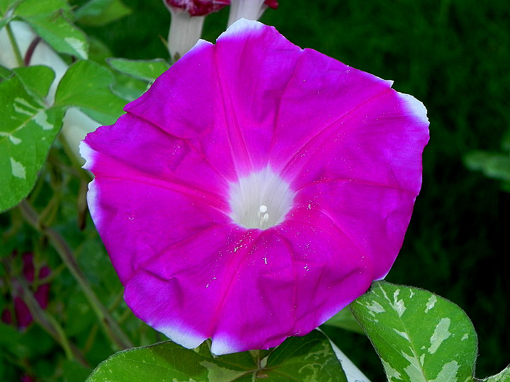 DSCN0429