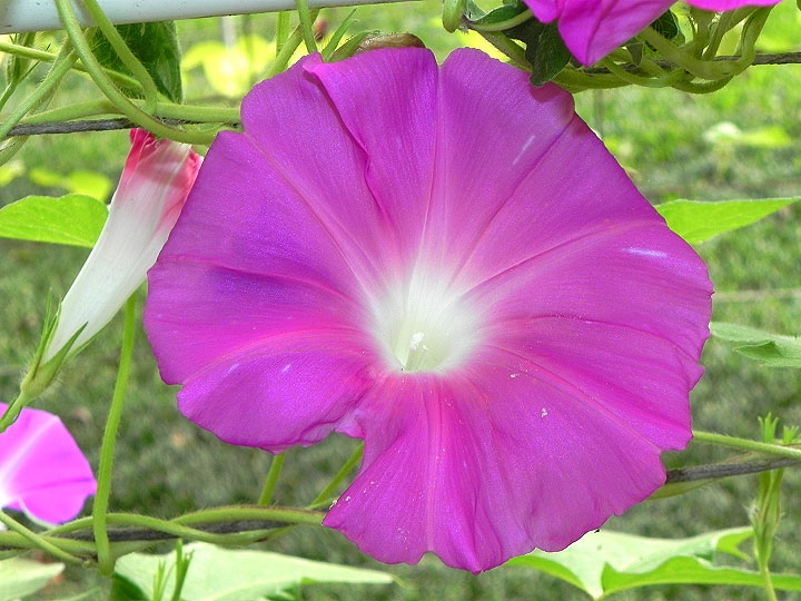 DSCN0541