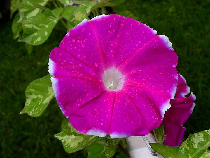 DSCN0616
