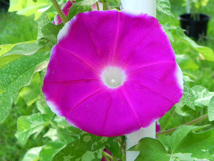 DSCN0639