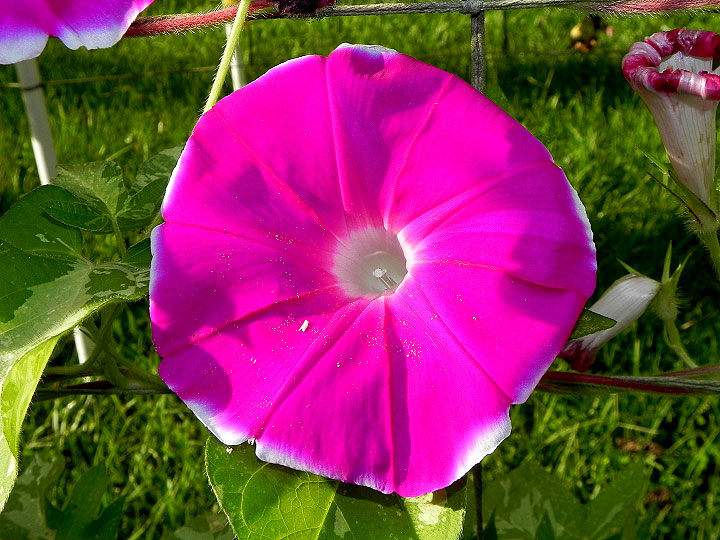 DSCN0794