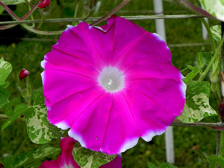 DSCN1019