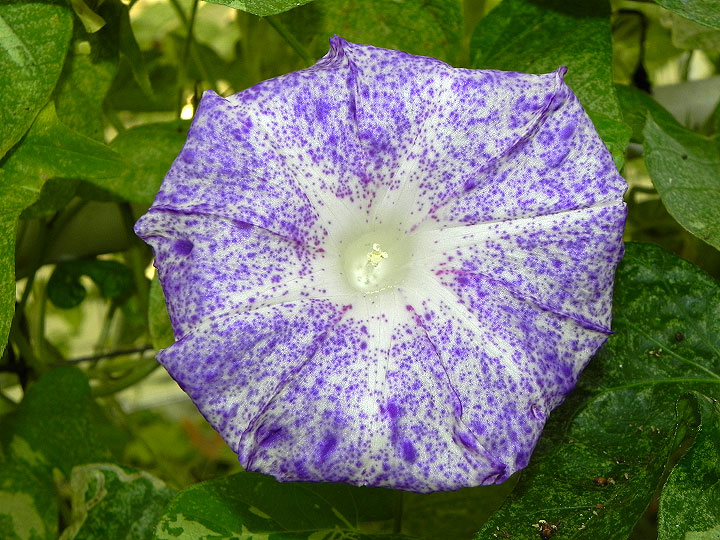 DSCN1153
