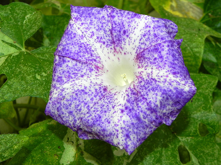 DSCN1155