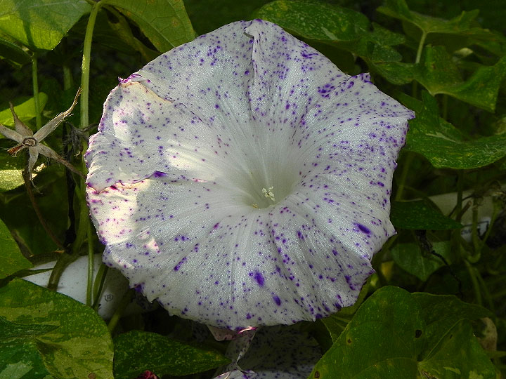 DSCN1157