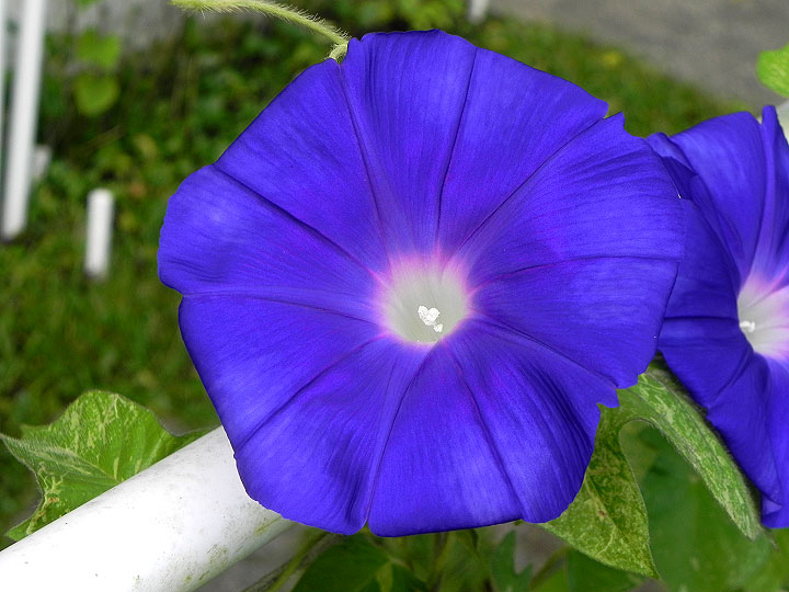 DSCN1579