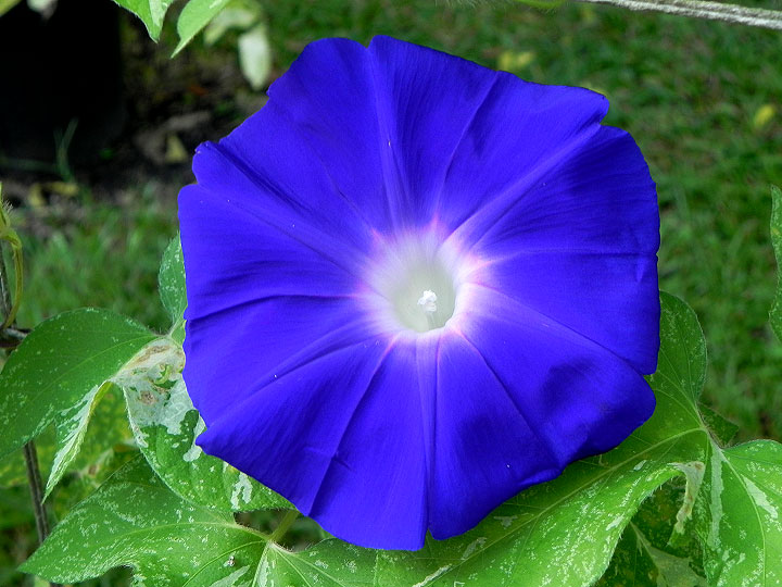 DSCN1608