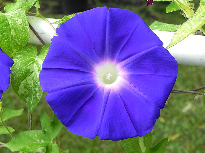 DSCN1640