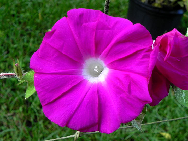 DSCN1657