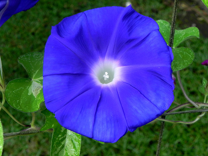 DSCN1658