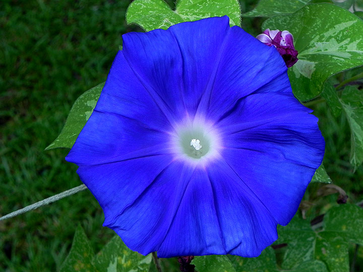 DSCN1708