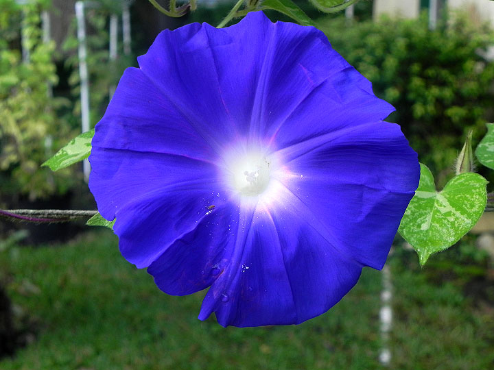 DSCN1808